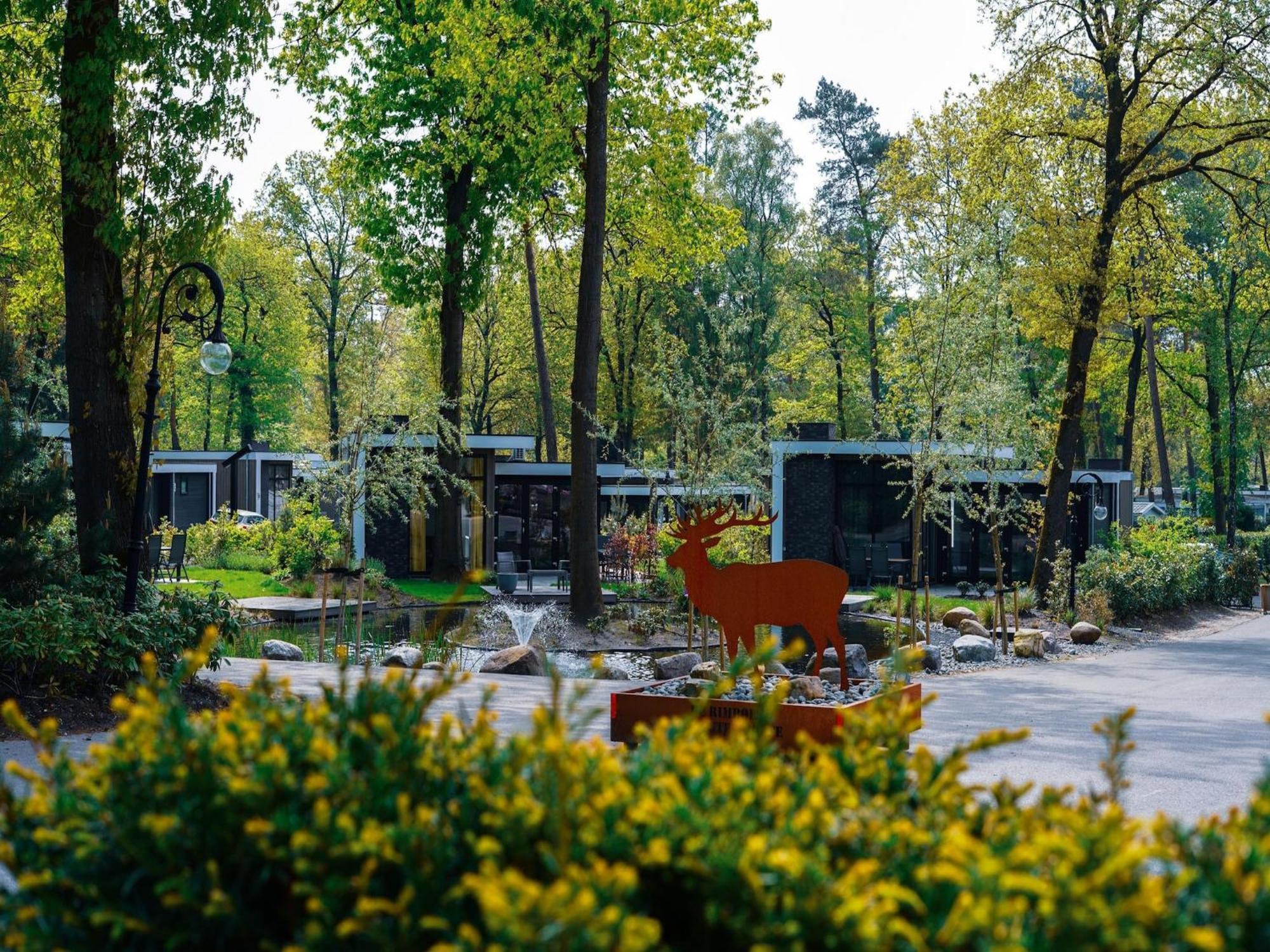 Modern House With Dishwasher In A Nature Reserve Hoenderloo Kültér fotó
